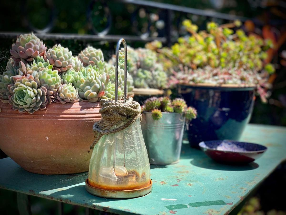 The Green House ポーツマス エクステリア 写真
